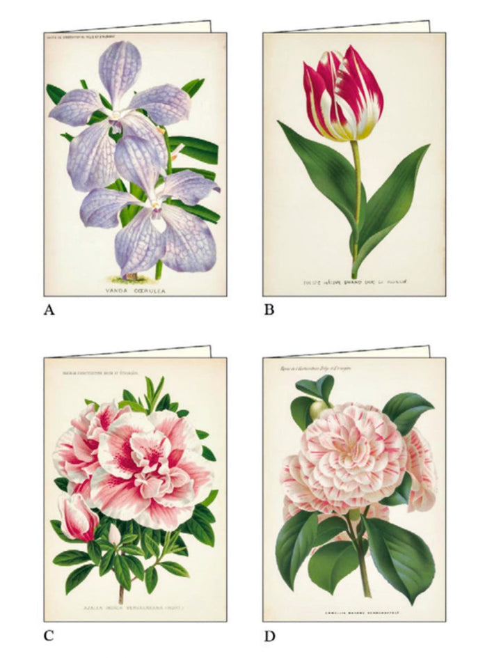 Garden Flower Note Cards | Rossi 1931 Italian-LetterSeals.com