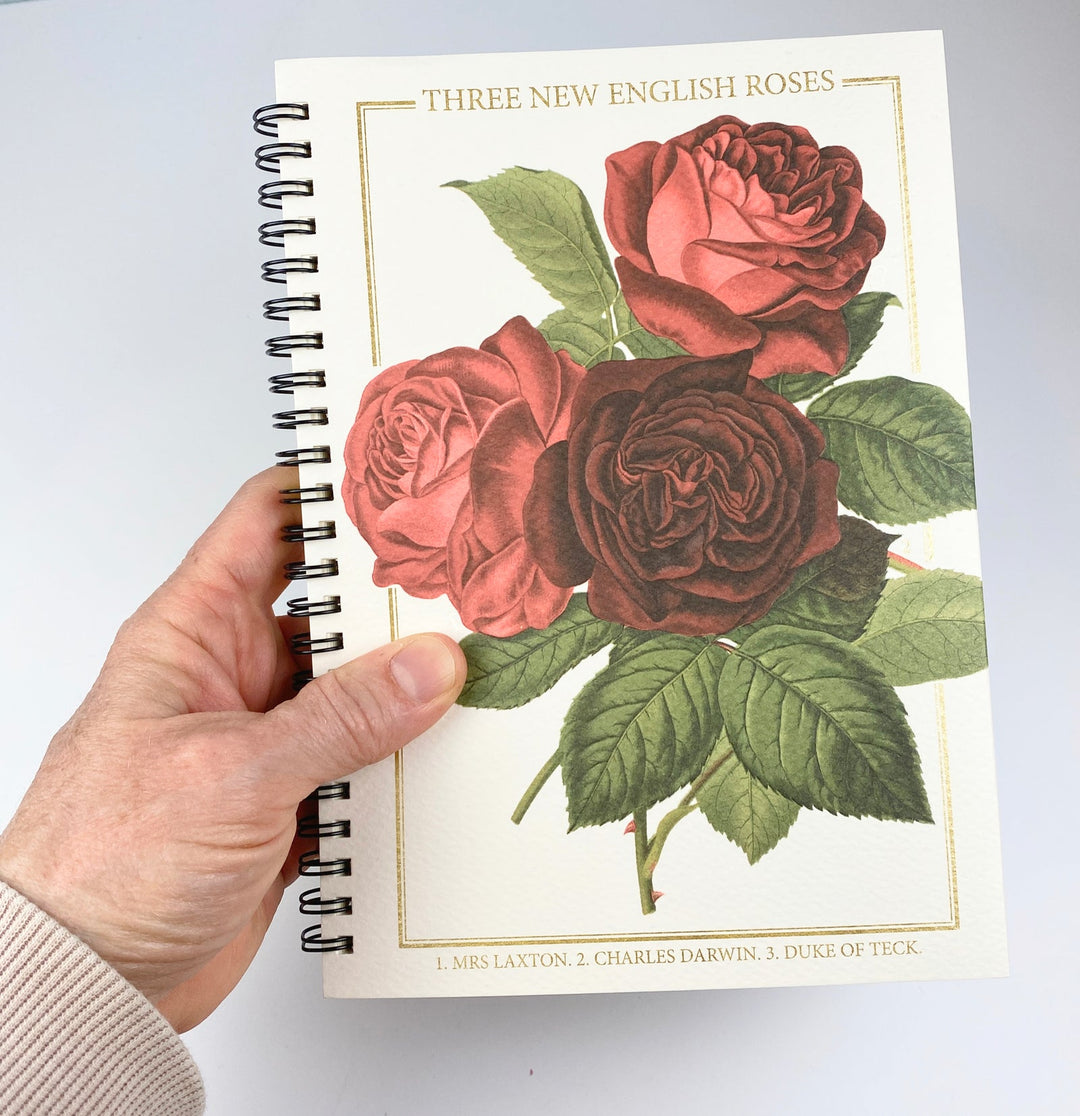 Rose Spiral Bound Notebook - Rossi 1931-LetterSeals.com